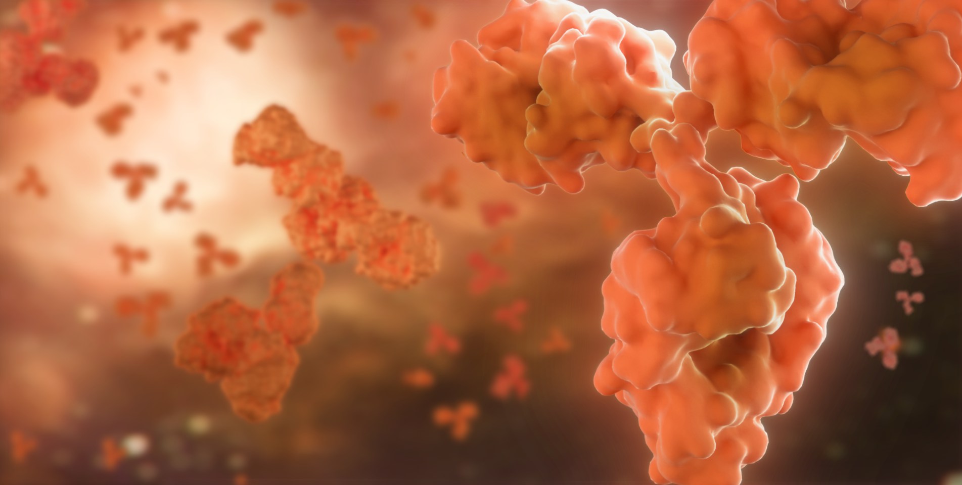 bifa必发科技集团股份有限公司